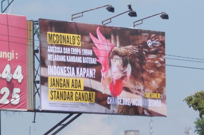  Instalasi Billboard Minta McDonald Lebih Baik Memperlakukan Hewan di Indonesia